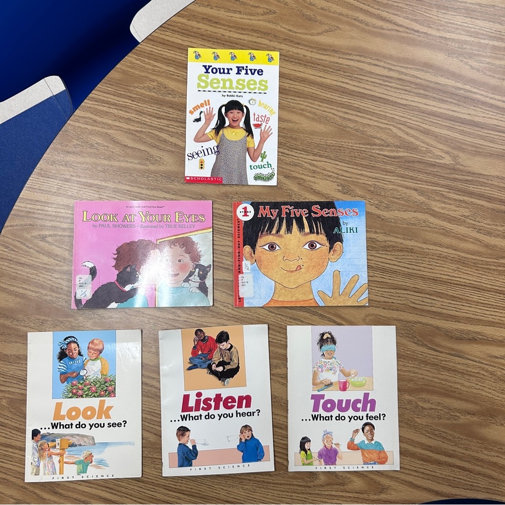 Five Senses Book Collection